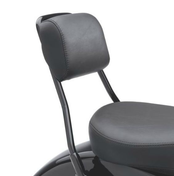 Producto 52300038 Almohadilla del respaldo del asiento trasero