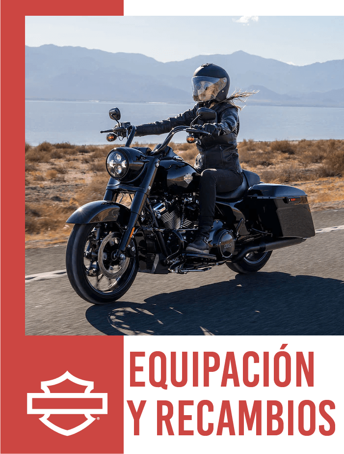 Recambios indumentaria de Harley original a precios de outlet